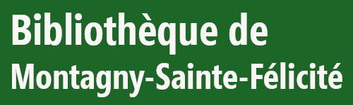 logo montagnysf